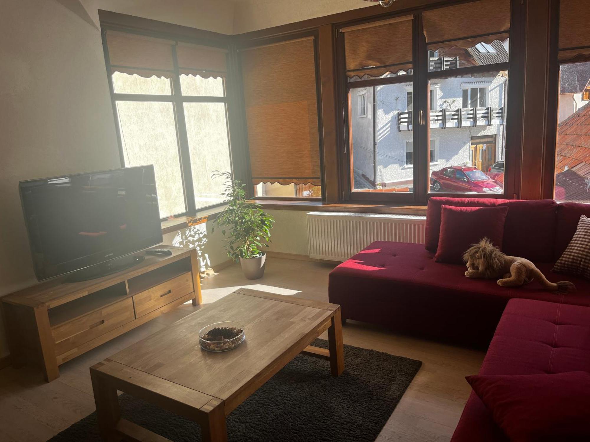 Cozy Apartment Μπρασόβ Εξωτερικό φωτογραφία